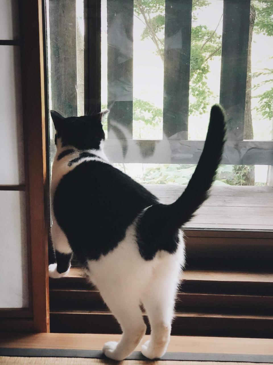 Noka Minshuku Sanzen Villa Tokamachi Bagian luar foto